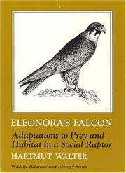 Cover of: Eleonora's Falcon by Harmut Walter