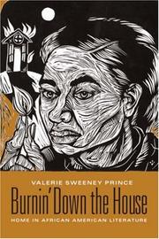 Cover of: Burnin' down the house: home in African American literature
