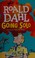 Cover of: Going Solo
