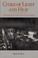 Cover of: Cities of light and heat