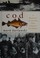 Cover of: Cod