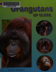 Cover of: Orangutans up close by Carmen Bredeson
