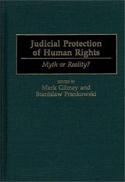 Cover of: Judicial protection of human rights by edited by Mark Gibney and Stanislaw Frankowski.