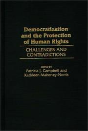 Cover of: Democratization and the protection of human rights: challenges and contradictions