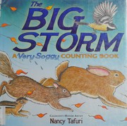 Cover of: The very big scary storm
