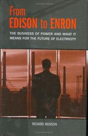 Cover of: From Edison to Enron by Richard Munson