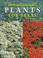 Cover of: Howard Garrett's plants for Texas.