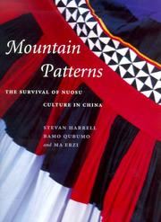 Cover of: Mountain Patterns by Stevan Harrell, Bamo Qubumo, Ma Erzi