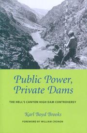 Public power, private dams by Karl Boyd Brooks