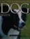Cover of: The Encyclopedia of Dog Breeds