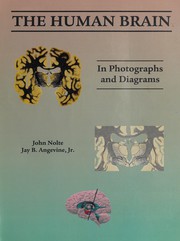 Cover of: The human brain by John Nolte