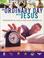 Cover of: An Ordinary Day with Jesus (Video Curriculum)