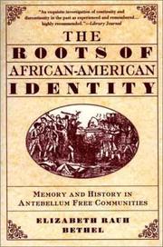 The roots of African-American identity by Elizabeth Rauh Bethel
