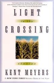 Cover of: Light in the Crossing by Kent Meyers