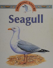 Seagull (Observing Nature) by Stephen Savage