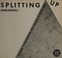 Cover of: Splitting up