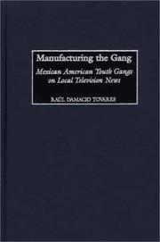 Cover of: Manufacturing the gang: Mexican American youth gangs on local television news