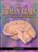 Cover of: The Human Brain