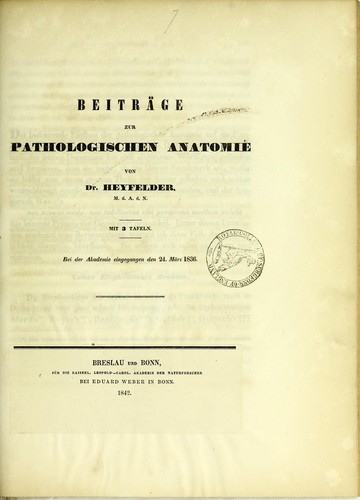 Beiträge zur pathologischen Anatomie by Johann Ferdinand Martin Heyfelder