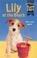Cover of: Lily at the Beach (Jenny Dale's Puppy Tales)