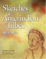Cover of: Sketches of Amerindian tribes, 1841-1843
