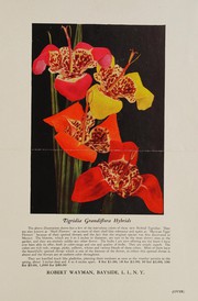 Cover of: Tigridia Grandiflora hybrids by Robert Wayman (Firm)