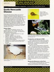 Cover of: Exotic Newcastle disease by United States. Animal and Plant Health Inspection Service
