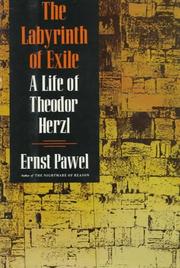 Cover of: The labyrinth of exile: a life of Theodor Herzl