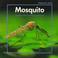 Cover of: Mosquito