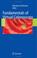 Cover of: Fundamentals of Virtual Colonoscopy