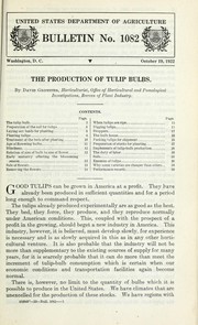 Cover of: The production of tulip bulbs