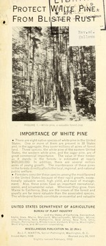 Cover of: Protect white pine from blister rust ...