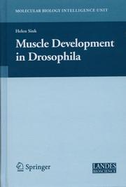 Cover of: Muscle development in drosophila