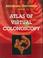 Cover of: Atlas of Virtual Colonoscopy