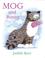 Cover of: Mog and Bunny (Mog the Cat Books)