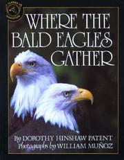 Cover of: Where the Bald Eagles Gather