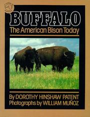 Buffalo