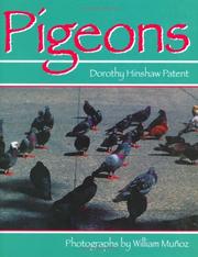 Cover of: Pigeons