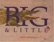 Big & little by Steve Jenkins