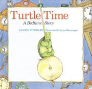 Cover of: Turtle Time | Sandol Stoddard