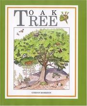 Cover of: Oak Tree by Gordon Morrison