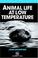 Cover of: Animal life at low temperature