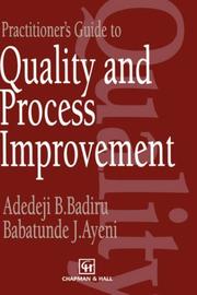 Cover of: Practitioner's guide to quality and process improvement