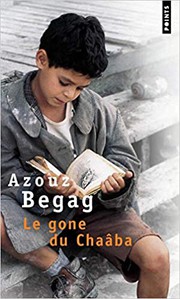 Cover of: Le gone du Châaba: roman