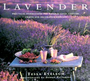 Cover of: Lavender by Tessa Evelegh