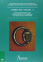 Cover of: Cerro del Villar