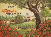 Cover of: 1945 Rosedale's Monrovia Nurseries