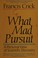 Cover of: What mad pursuit