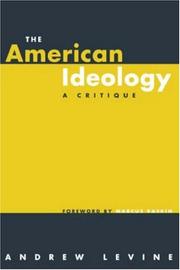 Cover of: The American Ideology: A Critique (Pathways for the 21st Century)