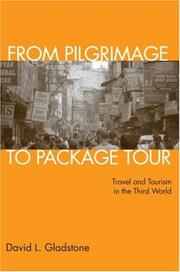 Cover of: From Pilgrimage to Package Tour: Travel and Tourism in the Third World